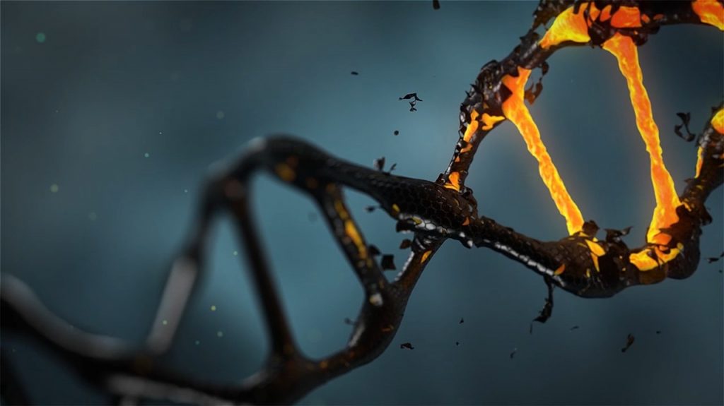 La técnica CRISPR/Cas9 causa mutaciones genéticas no deseadas
