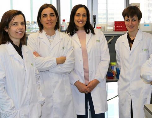 científicas catalanas crean minirriñones con células madre