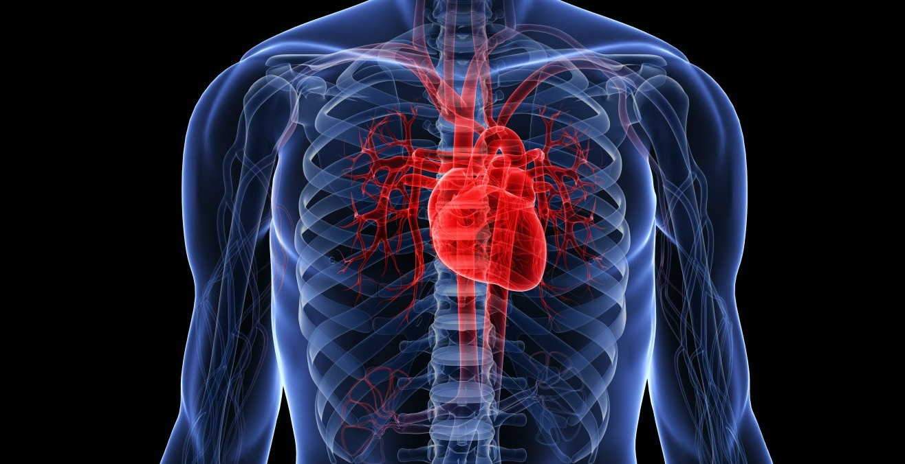 Encuentran Relación Entre Flora Intestinal Y Salud ...