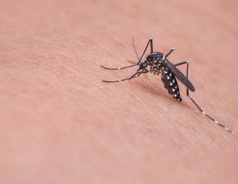 Filipinas declara estar en medio de una epidemia nacional de dengue