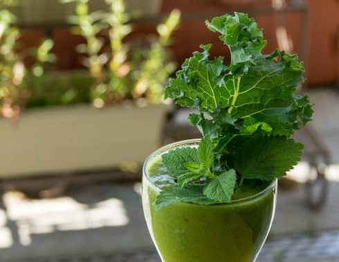 Kale: un vegetal con múltiples beneficios para la salud