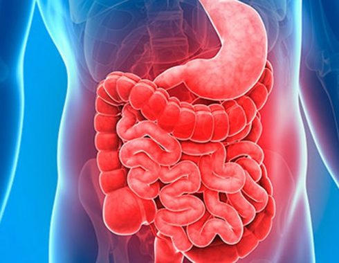 7 enfermedades del aparato digestivo