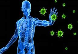 ¿El sistema inmune se afecta por el aislamiento?